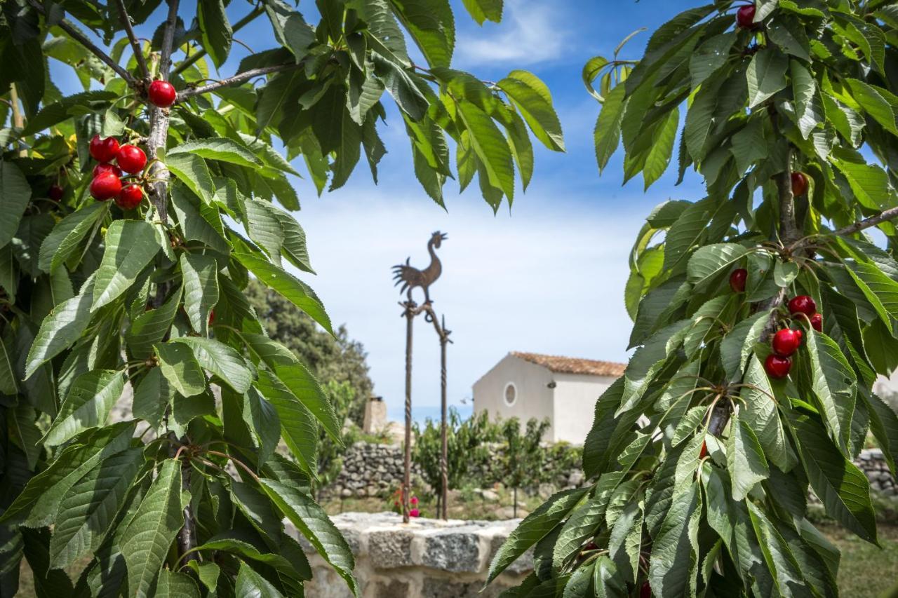 Gallicantu Stazzo Retreat Luogosanto Exterior photo